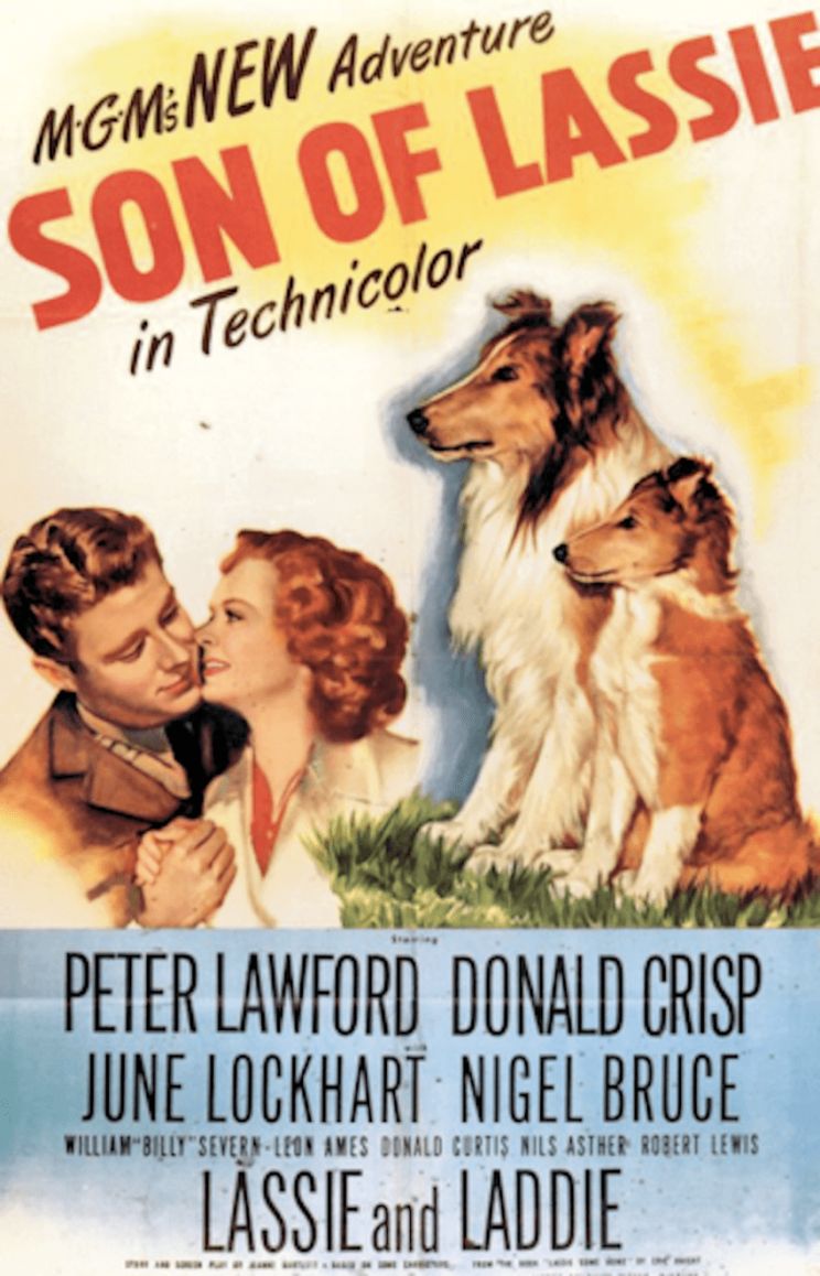 Lassie