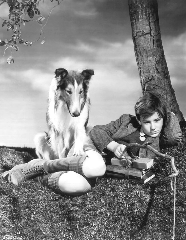 Lassie