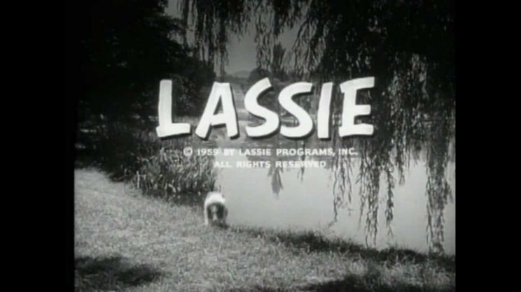 Lassie