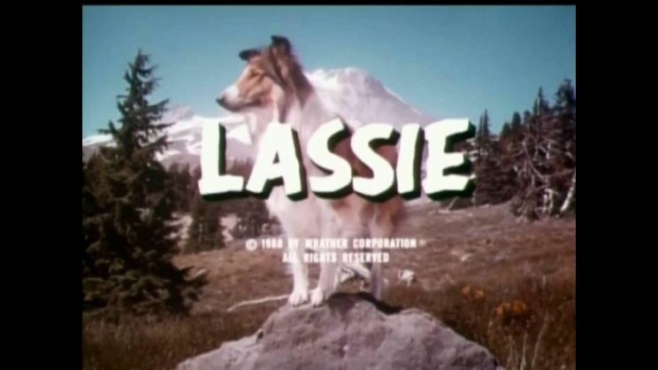 Lassie