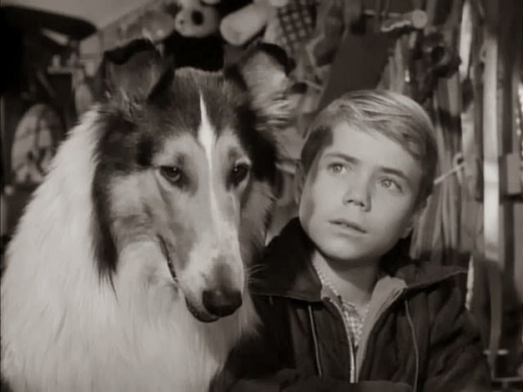 Lassie