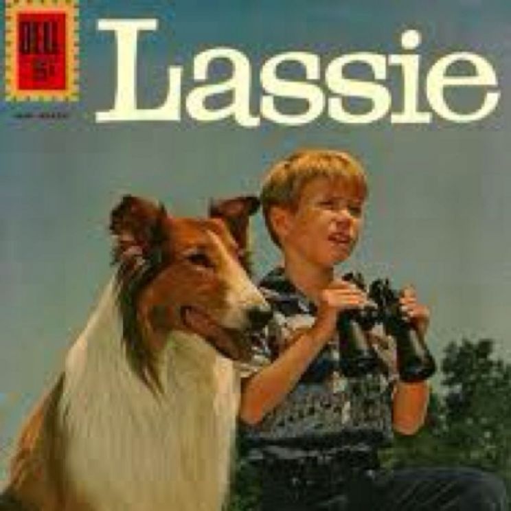 Lassie