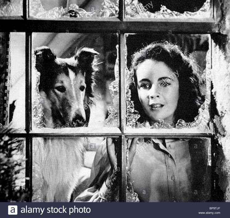 Lassie