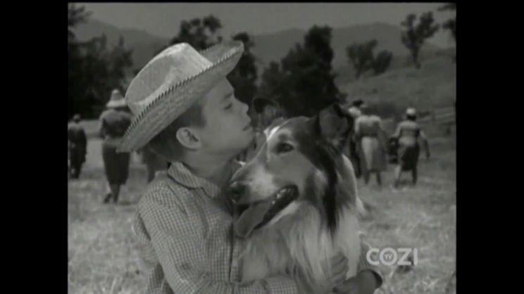 Lassie
