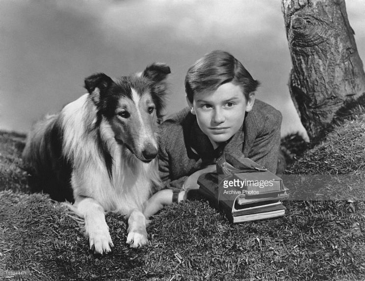 Lassie
