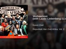 Laudo Liebenberg