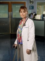 Laura Innes photo