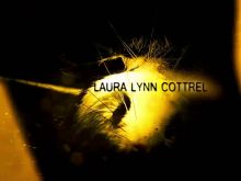 Laura L. Cottrel