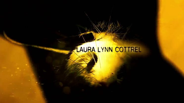 Laura L. Cottrel