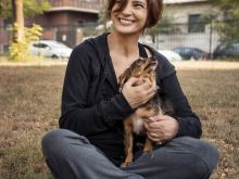 Laura Morante