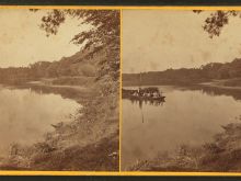 Laurel Near