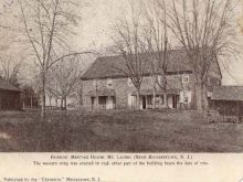 Laurel Near