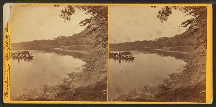 Laurel Near