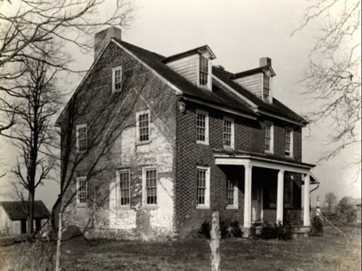 Laurel Near