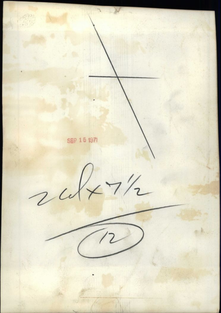 Laurie Lea Schaefer