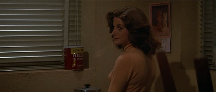 Laurie Zimmer