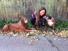 Leanne Poirier Greenfield