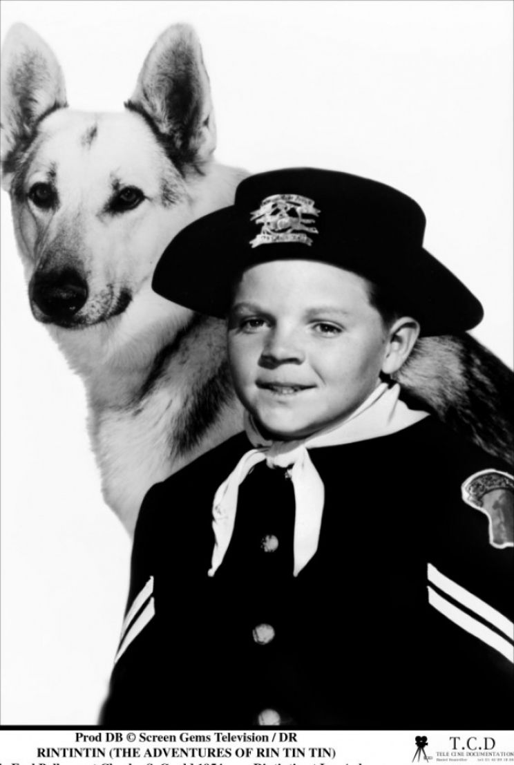 Lee Aaker