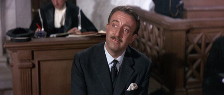 Lee Amir-Cohen