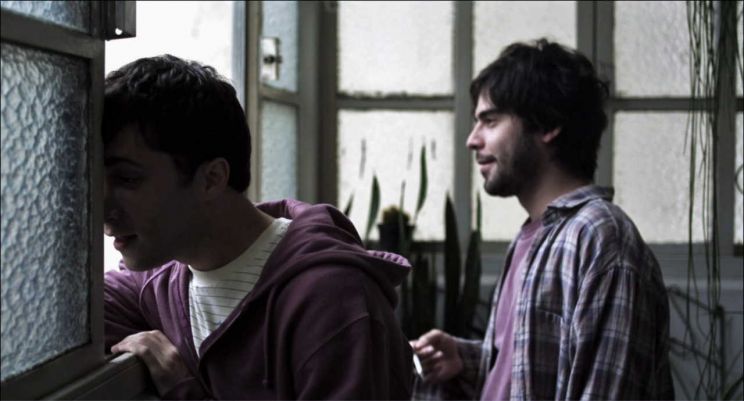 Lee Amir-Cohen