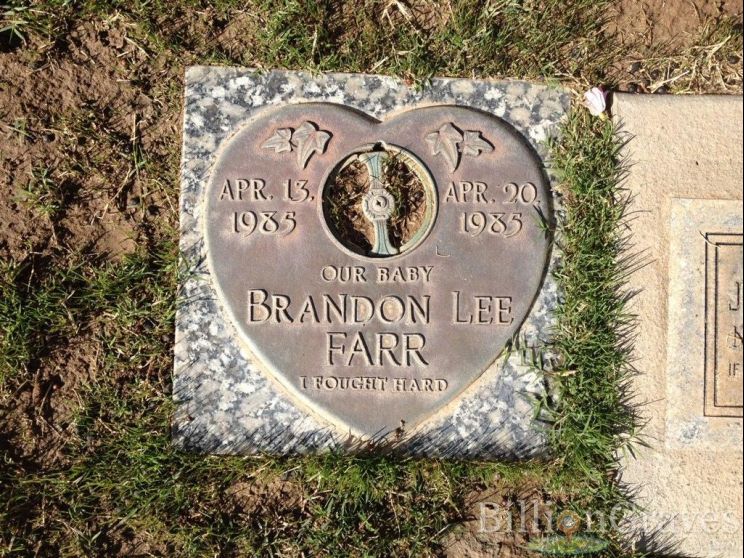Lee Farr