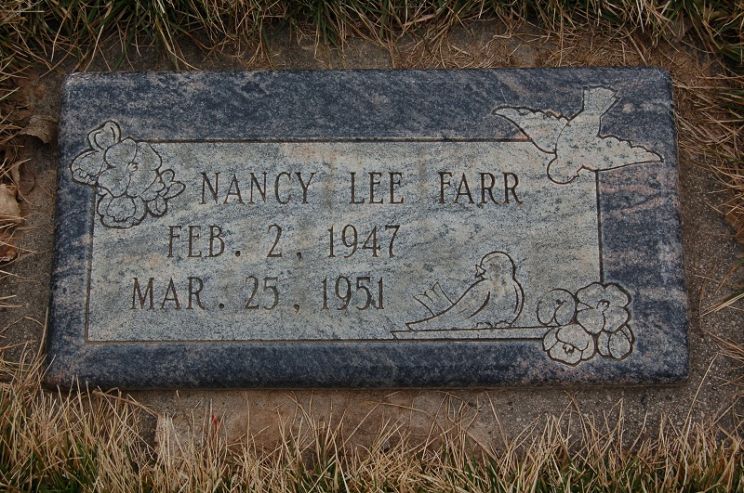 Lee Farr