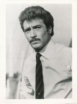 Lee Horsley