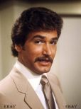 Lee Horsley