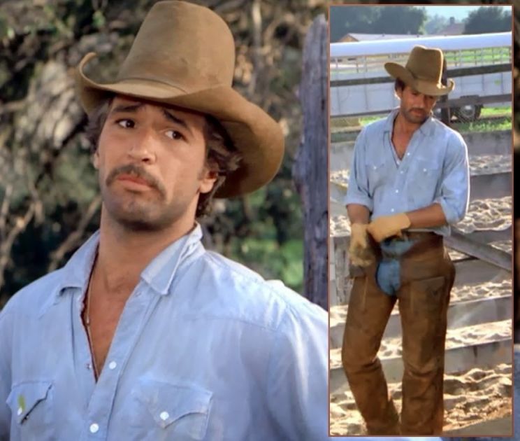 Pictures of lee horsley