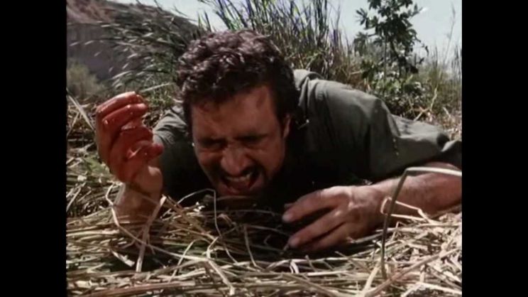 Lee Horsley