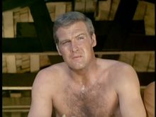 Lee Majors