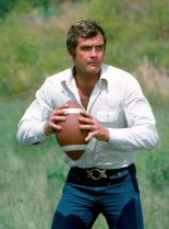 Lee Majors #205973 picture (Portrait Medium)