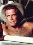 Lee Majors