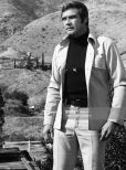 Lee Majors