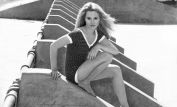 Lee Purcell