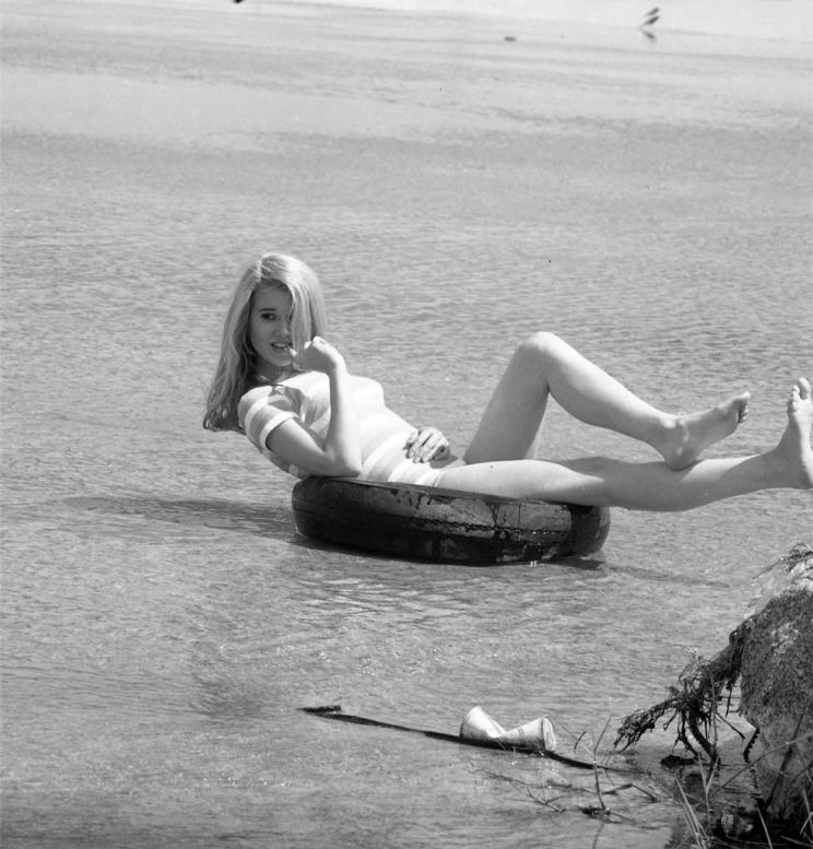 Lee Purcell