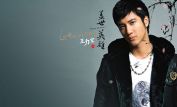 Leehom Wang