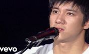 Leehom Wang