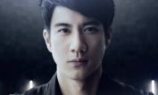 Leehom Wang