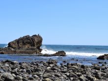 Leo Carrillo