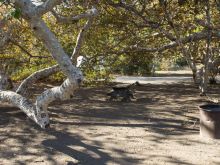 Leo Carrillo