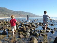 Leo Carrillo