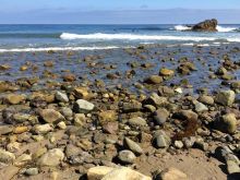 Leo Carrillo
