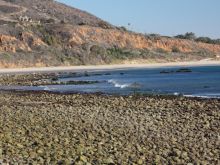 Leo Carrillo