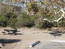 Leo Carrillo