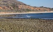 Leo Carrillo