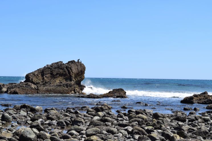 Leo Carrillo