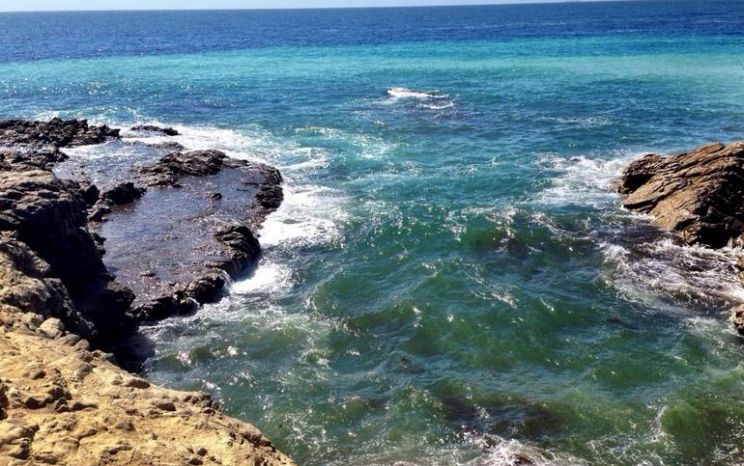 Leo Carrillo