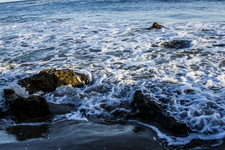 Leo Carrillo