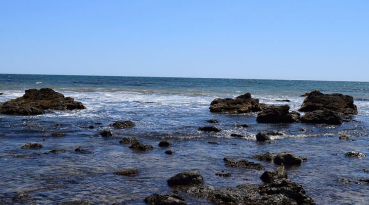 Leo Carrillo